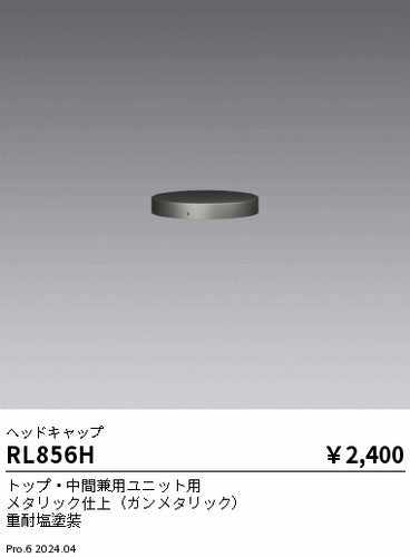 遠藤照明（ENDO）屋外灯 RL856H
