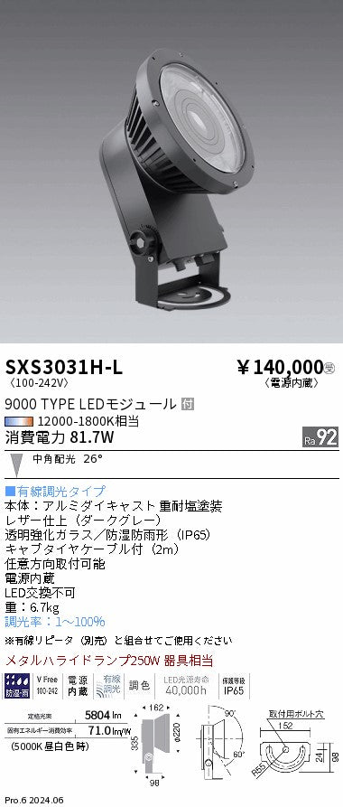 遠藤照明（ENDO）屋外灯 SXS3031H-L