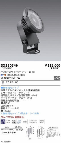 遠藤照明（ENDO）屋外灯 SXS3034H
