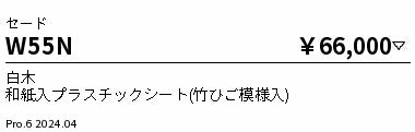 遠藤照明（ENDO）オプション W55N