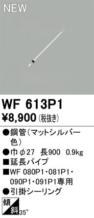 オーデリック（ODELIC）シーリングファン WF613P1