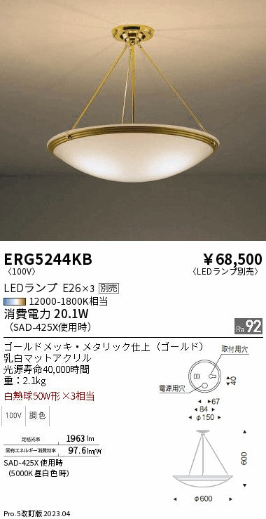 遠藤照明（ENDO）シーリングライト ERG5244KB