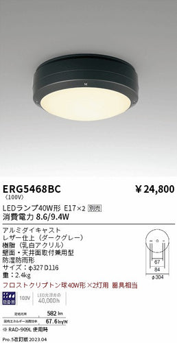 遠藤照明（ENDO）ポーチライト ERG5468BC